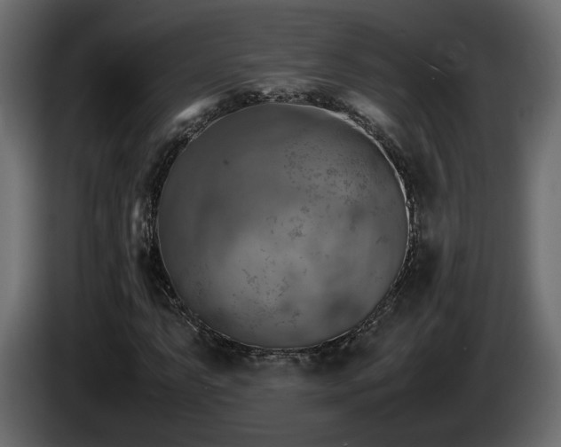 X0000085831063200703231415