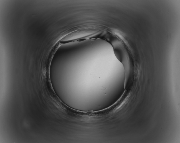 X0000085831065200703231415