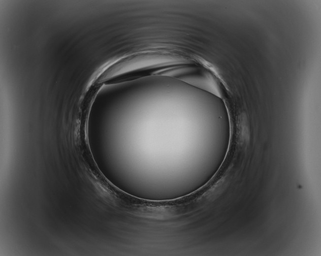 X0000085831066200703231415