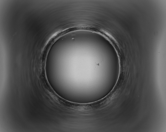 X0000085831067200703231415