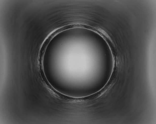 X0000085831068200703231415