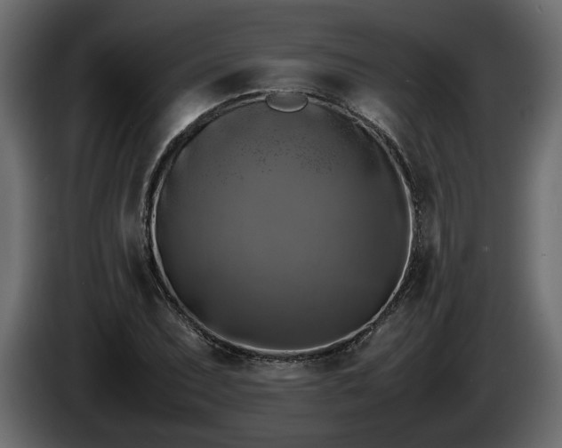 X0000085831071200703231415