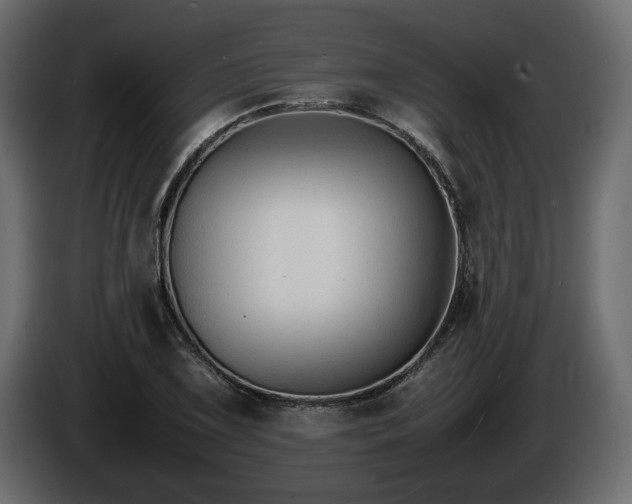 X0000085831075200703231415