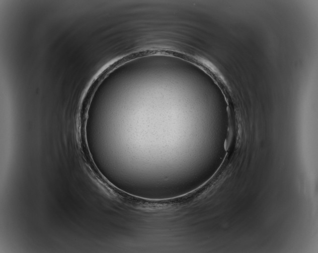 X0000085831076200703231415