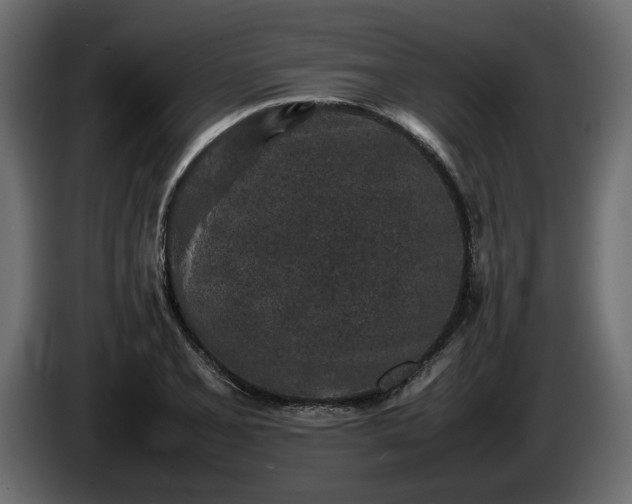 X0000085831077200703231415