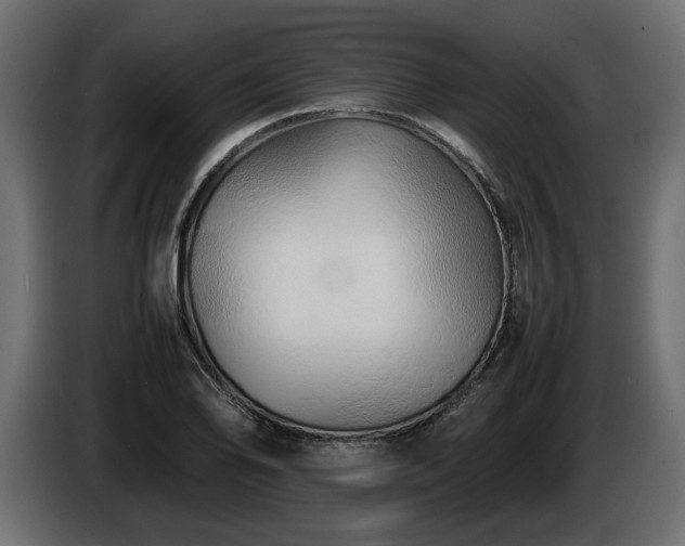 X0000085831078200703231415