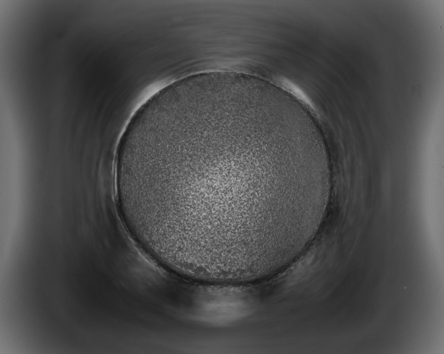 X0000085831079200703231415