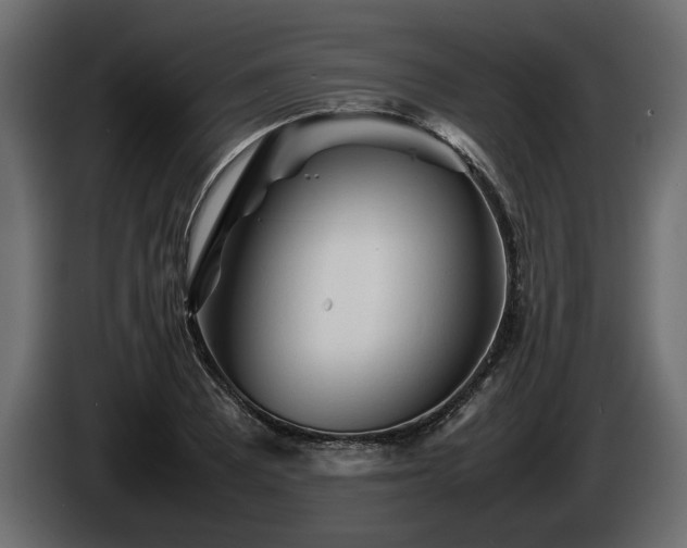 X0000085831081200703231415