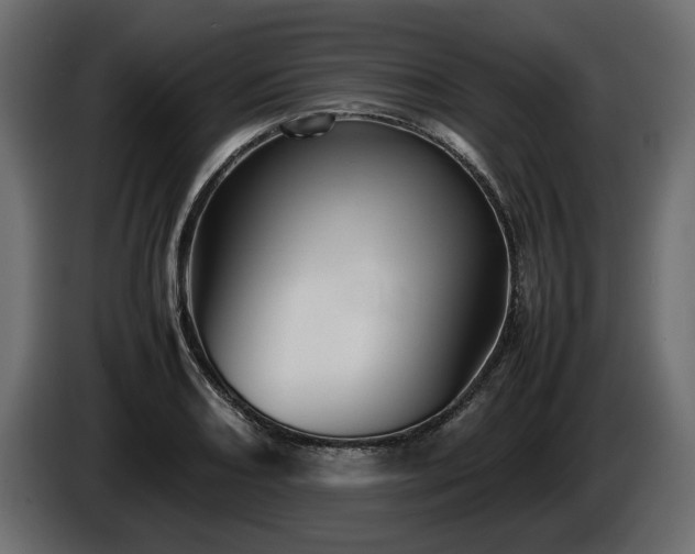 X0000085831082200703231415