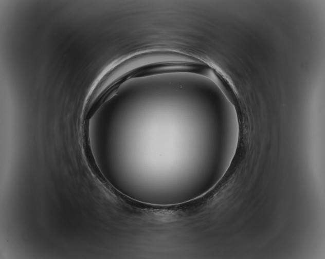 X0000085831085200703231415