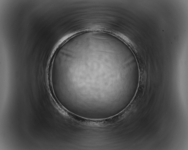 X0000085831086200703231415