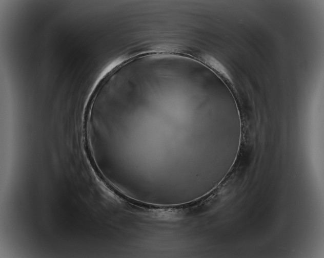 X0000085831087200703231415