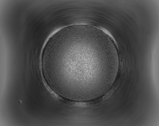 X0000085831088200703231415