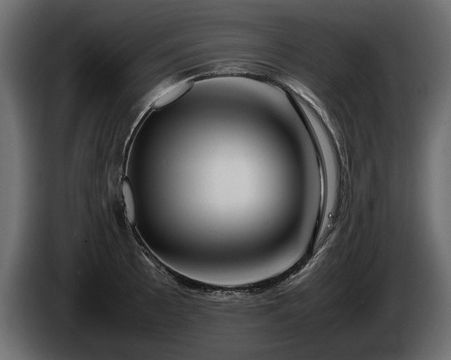 X0000085831089200703231415