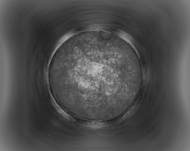 X0000085831090200703231415