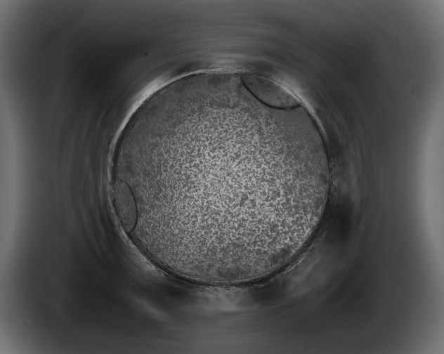 X0000085831091200703231415