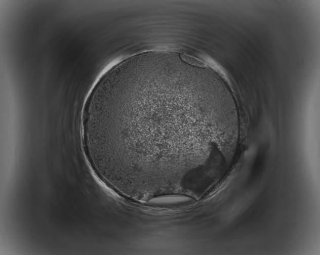 X0000085831095200703231415