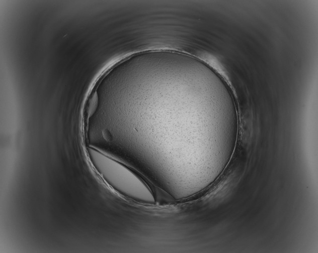 X0000085831096200703231415