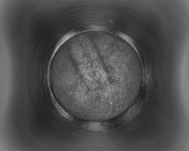 X0000085831098200703231415