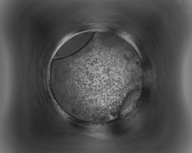 X0000085831099200703231415