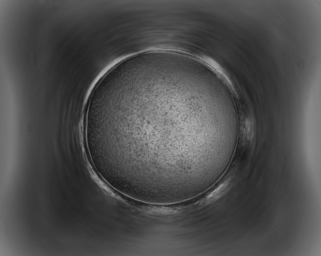 X0000085831100200703231415