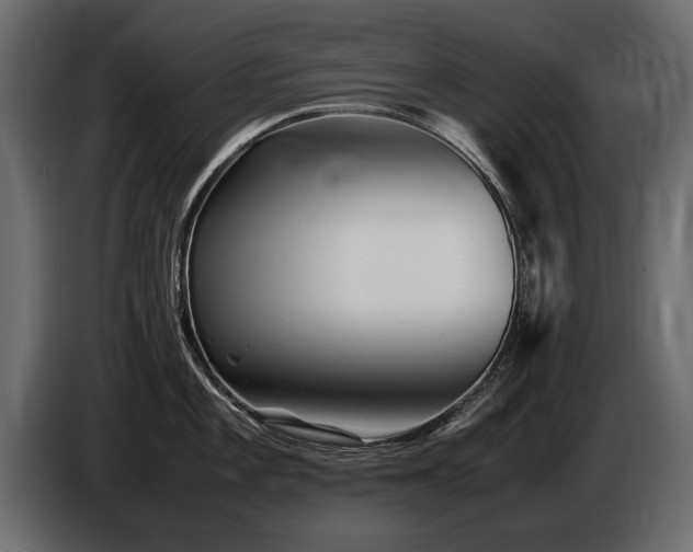 X0000085831101200703231415