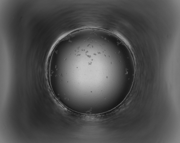 X0000085831104200703231414