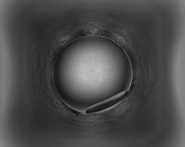 X0000085831105200703231414