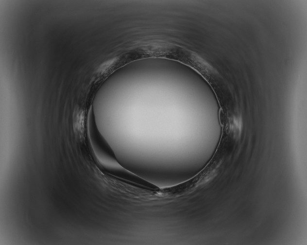 X0000085831108200703231414