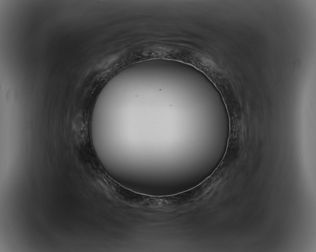 X0000085831109200703231414