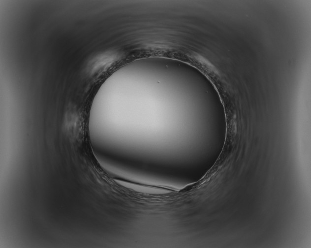 X0000085831110200703231414