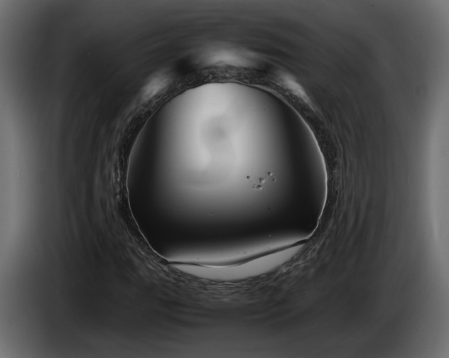 X0000085831111200703231414