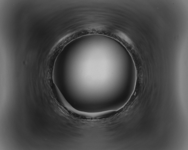 X0000085831112200703231414