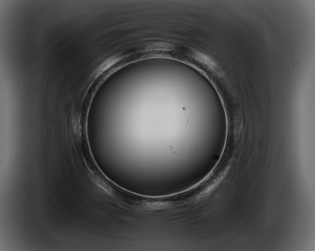 X0000085831113200703231414