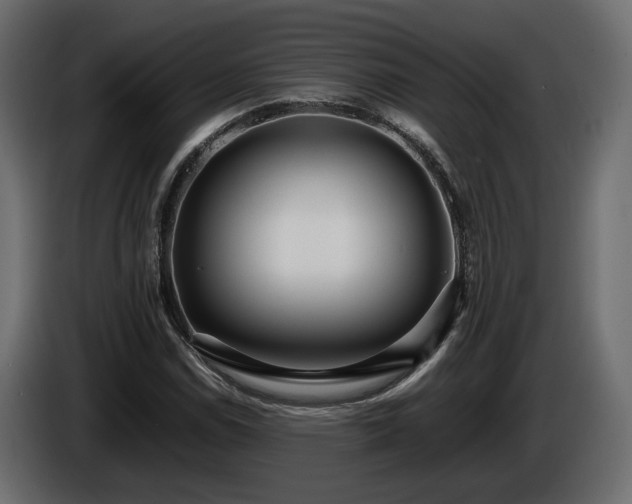 X0000085831114200703231414