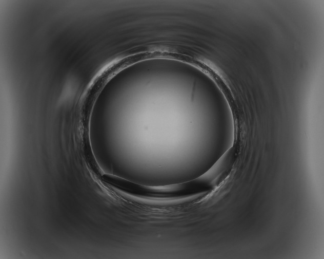 X0000085831115200703231414