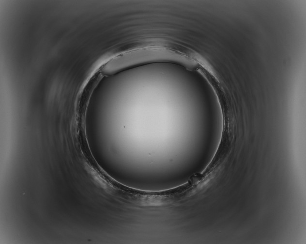 X0000085831116200703231414