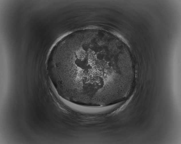 X0000085831117200703231414