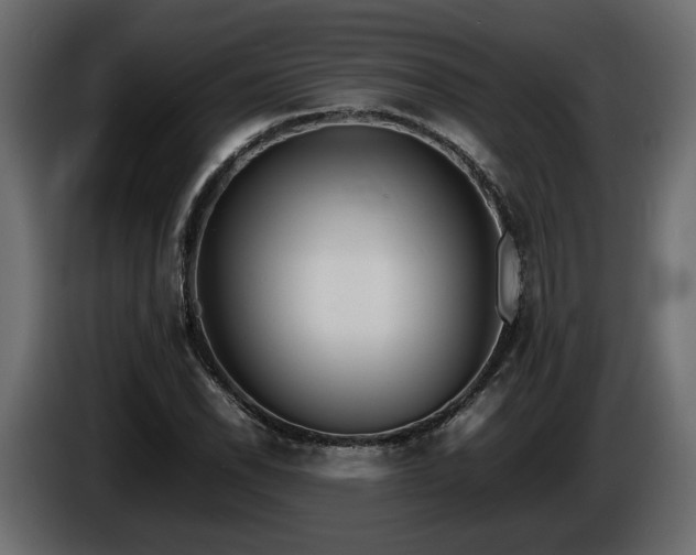 X0000085831118200703231414