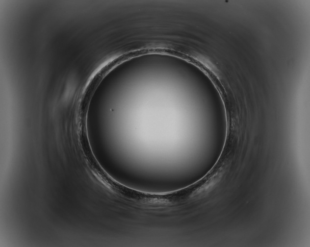 X0000085831119200703231414