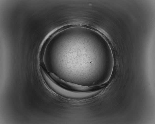 X0000085831120200703231414