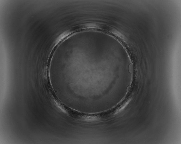 X0000085831121200703231414