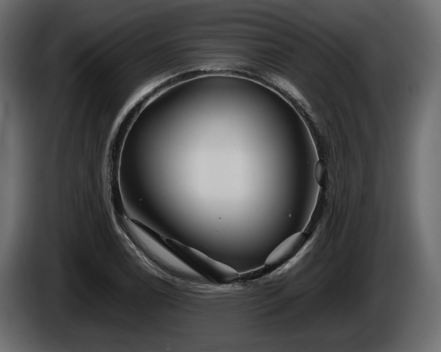 X0000085831122200703231414