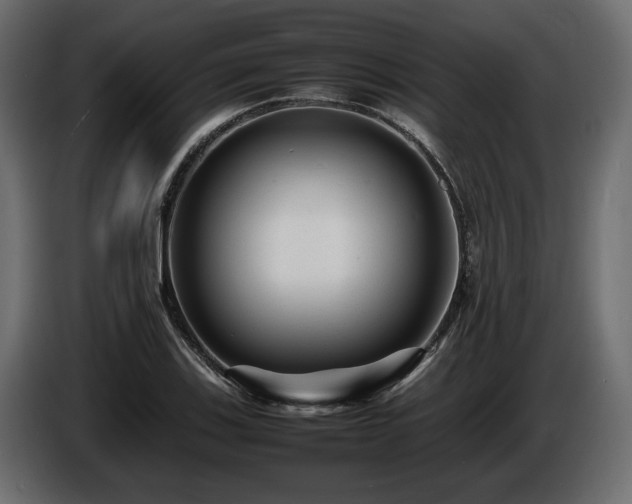 X0000085831123200703231414