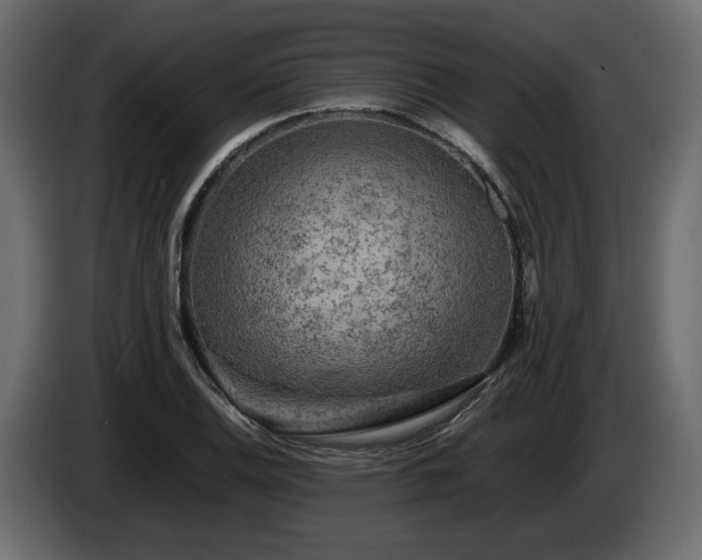 X0000085831124200703231414