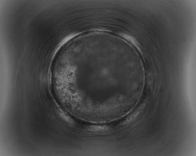 X0000085831125200703231414