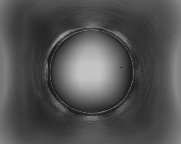 X0000085831126200703231414