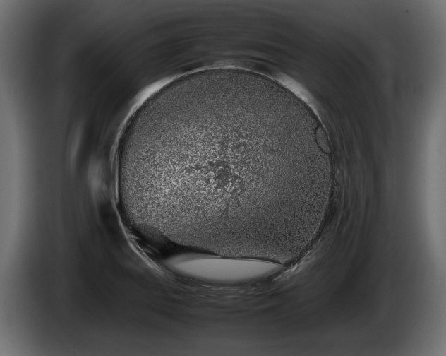 X0000085831127200703231414