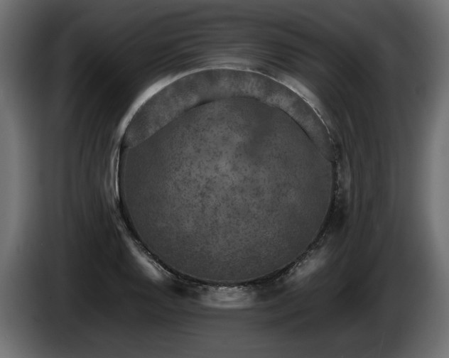 X0000085831128200703231414