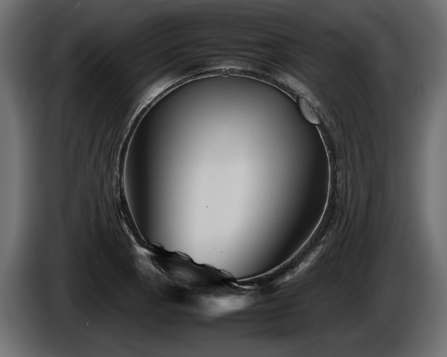 X0000085831129200703231414